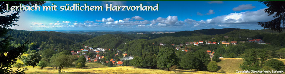 Panorama von Lerbach mit sdlichem Harzvorland